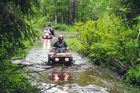Bird Creek: Chugach State Park ATV Nature Tour & Hike Afternoon Adventure - Single ATV