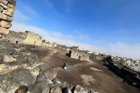 Ammán - Excursión de un día a los Castillos del Desierto y la Reserva del Humedal de AzraqAmmán, Castillos del Desierto y Reserva del Humedal de Azraq VAN DE DÍA COMPLETO