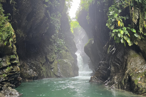 Cali: escursione di un giorno al Danubio e all'oasi La Sirena. Da CaliCali: escursione di un giorno al Danubio e all'oasi della sirena. Da Cali