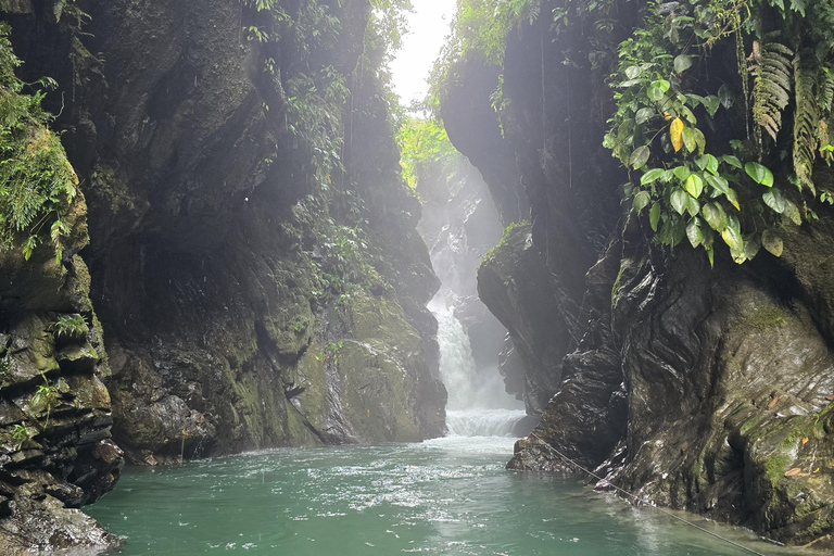 Cali: Tagesausflug zur Donau und zur Oase La Sirena. Ab CaliCali: Tagesausflug zur Donau und zur Oase der Meerjungfrau. Ab Cali