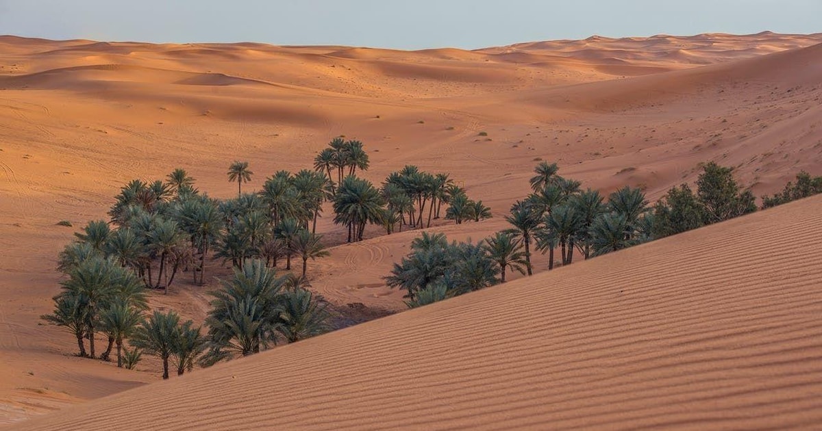 Riyadh: “Discover the Magic of the Sand Dunes” | GetYourGuide