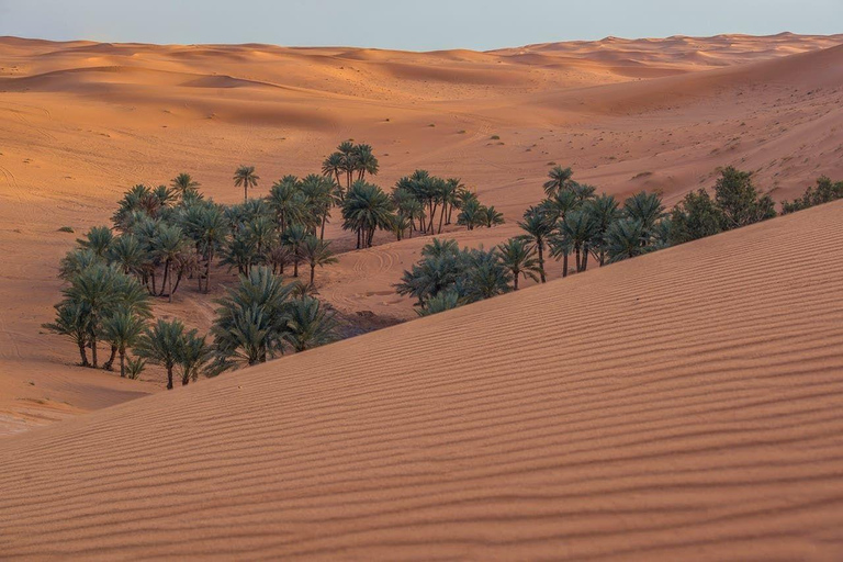 Riyadh: &quot;Upptäck sanddynernas magi&quot;