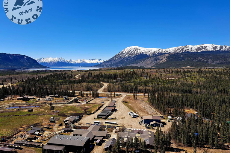 From Skagway: Wild Adventure Yukon Day Trip with BBQ Lunch