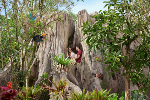 Singapore: Bird Paradise Entry Ticket with Hotel Transfer