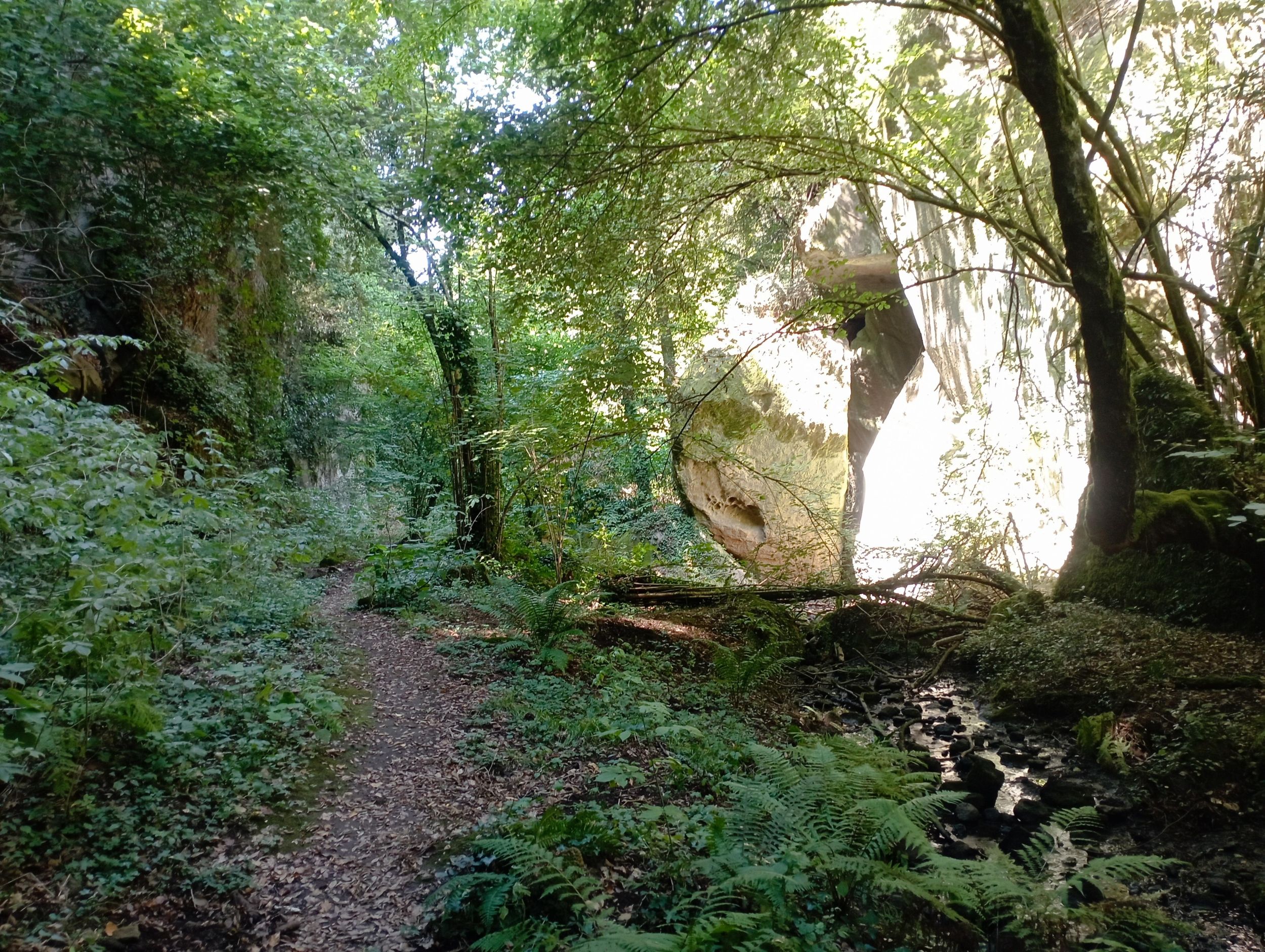 Viterbo: Palanzana Bergwanderung & Naturschutzgebiet