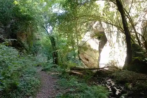 Viterbe : Randonnée dans la montagne de Palanzana et réserve naturelle