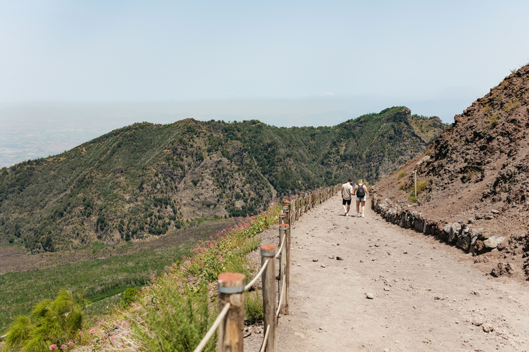 From Rome: Pompeii and Mount Vesuvius Day Trip with LunchPompei &amp; Vesuvius Area Walk with Geologist