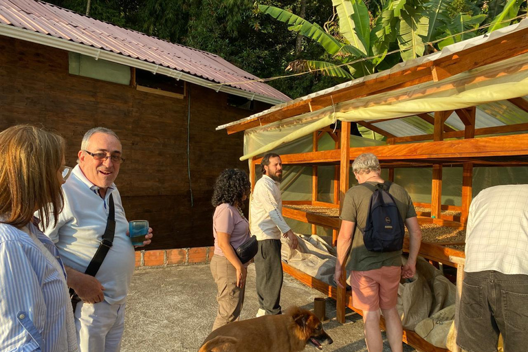 Medellín: Coffee and native bees experience