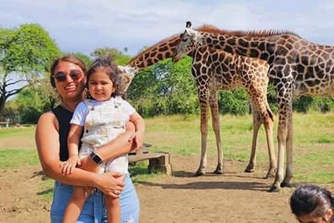 Mombasa: Half-Day Haller Park Giraffes Feeding Experience