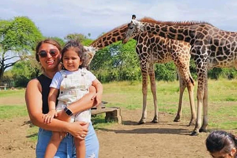 Mombasa: Half-Day Haller Park Giraffes Feeding Experience