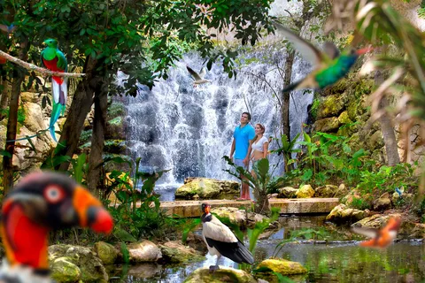 From Cancun: Xcaret Plus Park, the complete experience