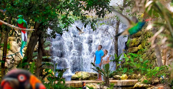 From Cancún: Xcaret Park Plus, the Full Experience