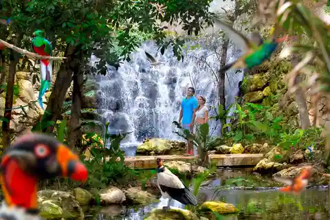 From Cancun: Xcaret Plus Park, the complete experience