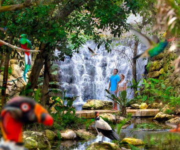 From Cancun: Xcaret Plus Park, the complete experience