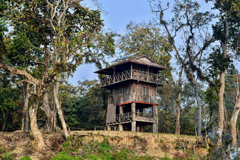 From Kathmandu/Pokhara: Chitwan Jungle Safari 2/3/4-Day Tour From Kathmandu/Pokhara: Chitwan Jungle Safari 4-Day Tour