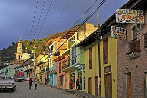 Tour delle farfalle monarca in Messico: Sierra Chincua e AngangueoPrivato