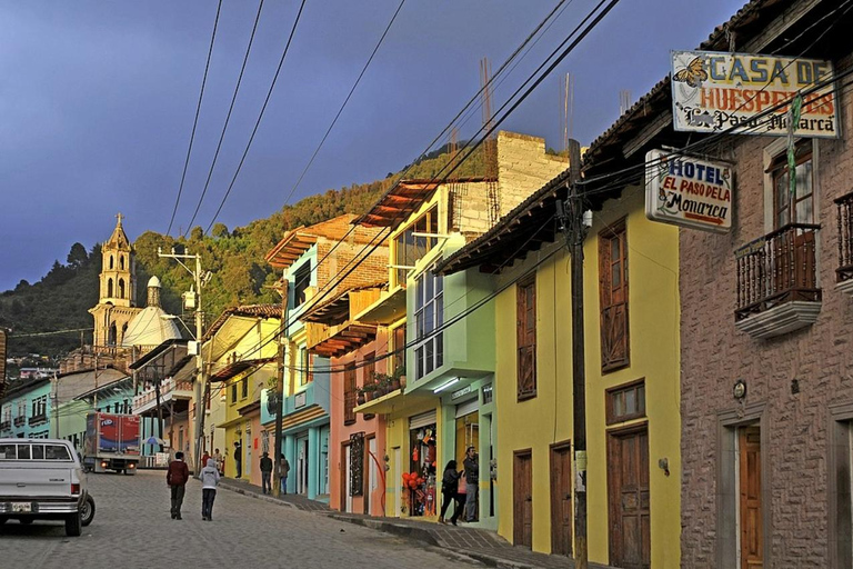 Tour delle farfalle monarca in Messico: Sierra Chincua e AngangueoPrivato