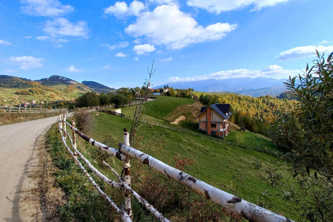 Brașov: Visit a Transylvanian Village Home near Bran Castle From Brașov to a Traditional Village Home in the Bran Area