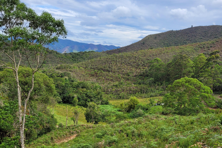 CAMINHO DO OURO - Geführte Tour durch den Atlantischen Wald, Wasserfälle und Geschichten.