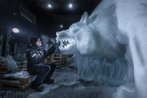 Biddinghuizen: Dutch Ice Sculpture Festival Entry Ticket