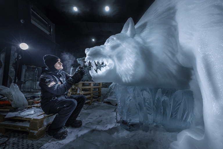 Biddinghuizen: Dutch Ice Sculpture Festival Entry Ticket