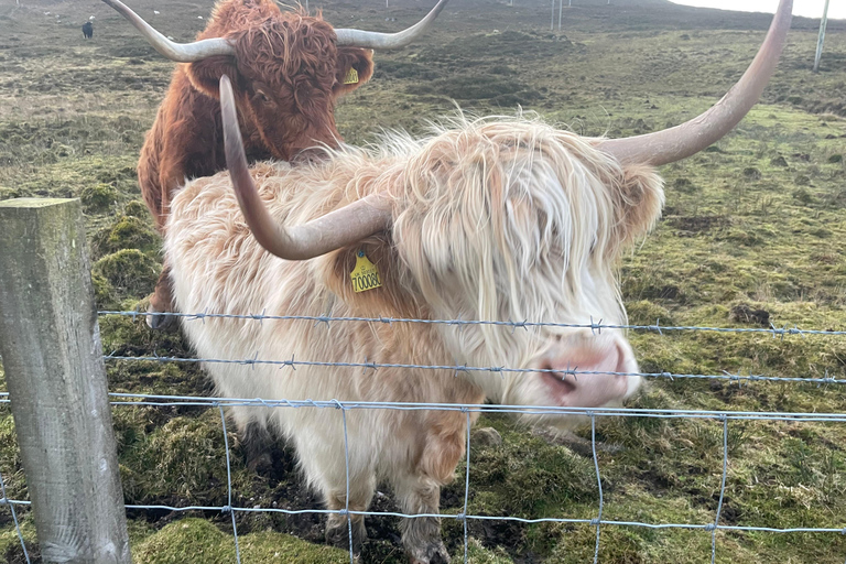 Greenock: Loch Lomond & The Trossachs National Park Tour