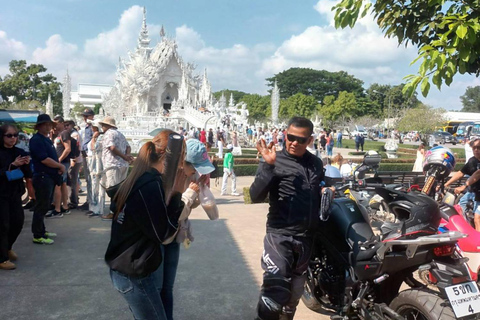 Chiang Rai: 2 Temples (White and Blue) + Black House Museum Meeting Point: Wat Phra Singh (Hotels Outside Pickup Area)