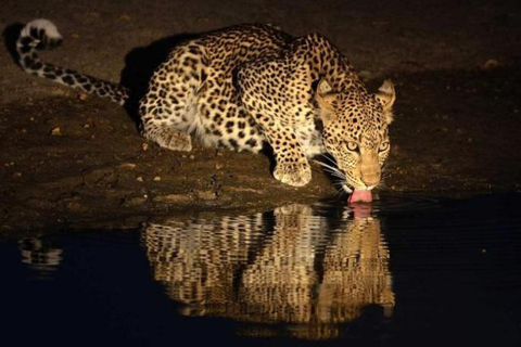 Victoria falls: Night Game Drive with 3-Course Bush Dinner