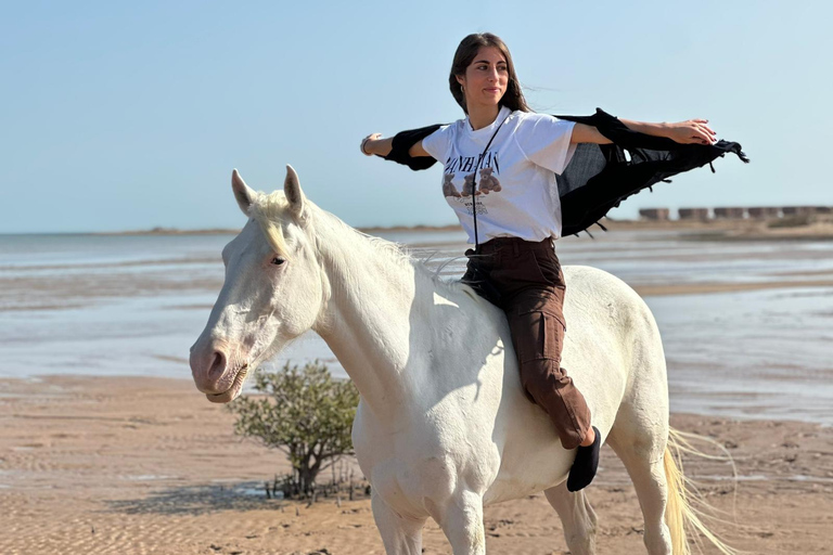 Hurghada: Swimming & Horse riding with FREE Photos & Videos 2-Hour Horse Swimming & Photos with Transfer