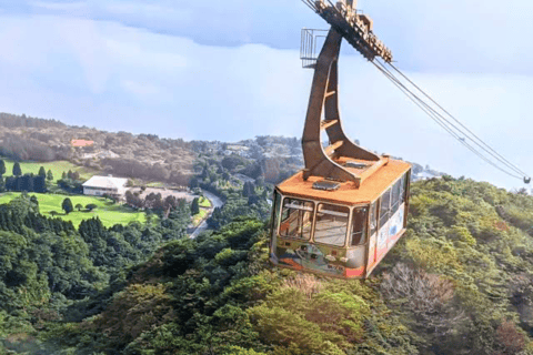 Mount Fuji Full Day Private Customizable Tour with Guide