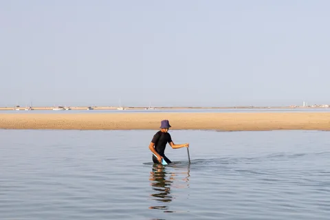 Olhão: Rondvaart Ria Formosa met oesterproeverij