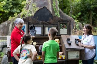 Dubliner Zoo: Eintrittskarte für ein wildes Erlebnis mit über 400 Tieren