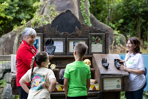 Dublin Zoo Entry Ticket: A Wild Experience with 400+ Animals Dublin Zoo: Entry Ticket