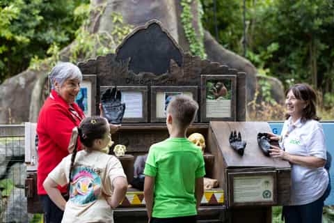 Dublin Zoo Entry Ticket: A Wild Experience with 400+ Animals - Image 3