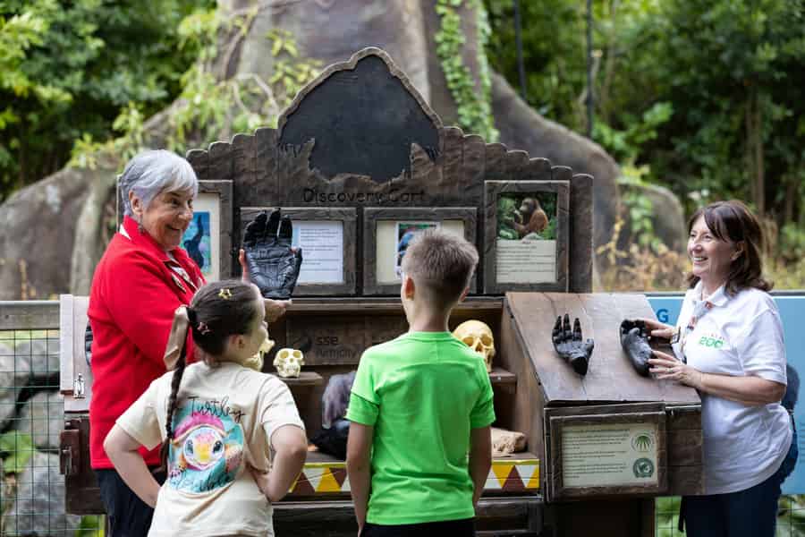 Dubliner Zoo: Eintrittskarte für ein wildes Erlebnis mit über 400 Tieren. Foto: GetYourGuide Dubliner Zoo: Eintrittskarte für ein wildes Erlebnis mit über 400 Tieren. Foto: GetYourGuide