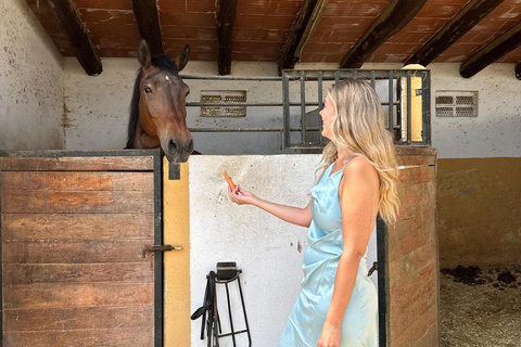 Norway-Gålå: Horseback Riding Tour with Refreshments