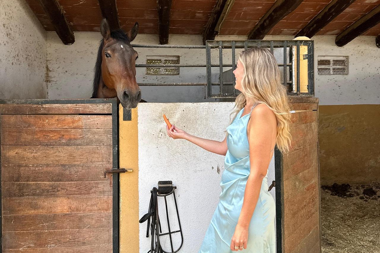Norway-Gålå: Horseback Riding Tour with Refreshments