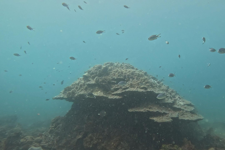 DAR ES SALAAM: CERTIFIED SCUBA DIVERS FUN TRIP