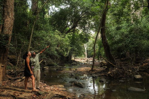 Sigiriya Treehouse Adventure – 3 Days 2 Nights from Colombo