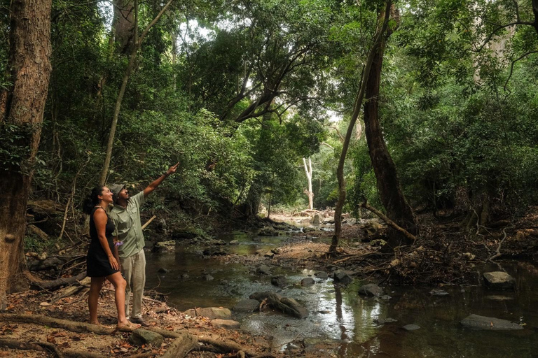 Sigiriya Treehouse Adventure – 3 Days 2 Nights from Colombo