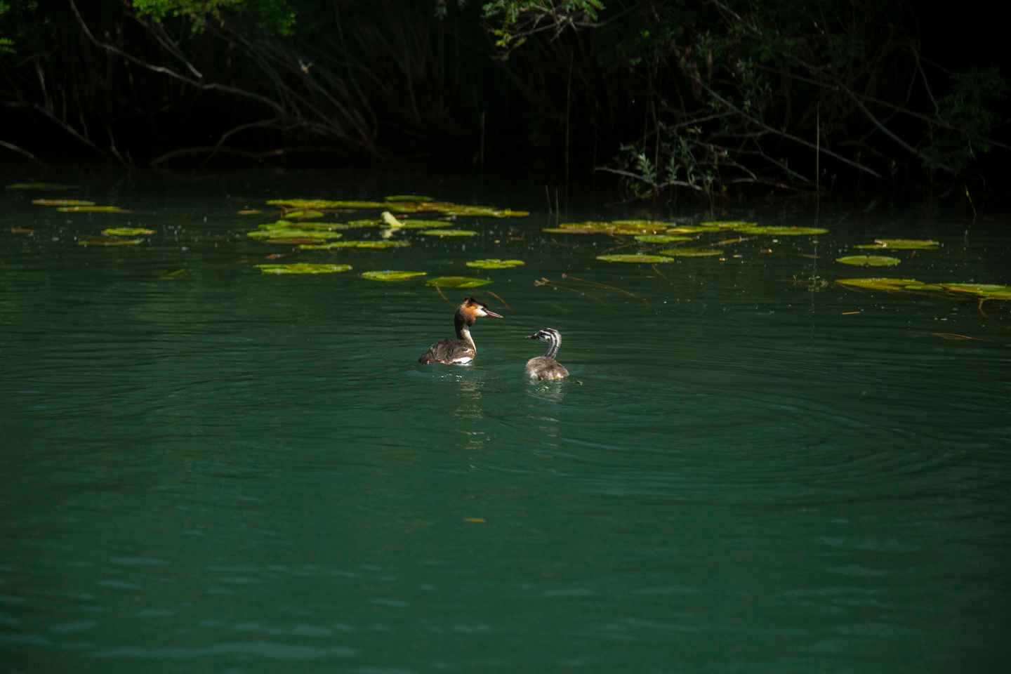 Private morning tour with refreshments and hidden canals!