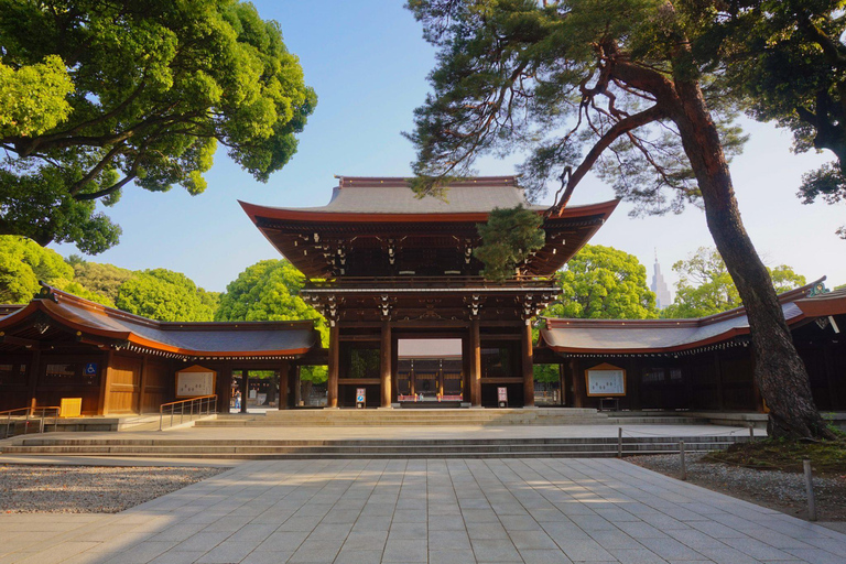 Tour panoramico privato di Tokyo con autista parlante inglese