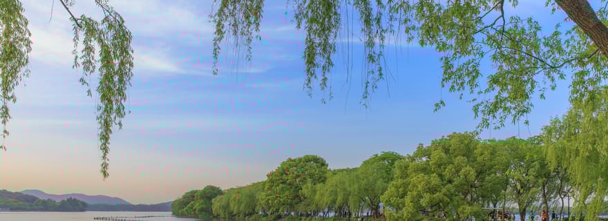 Les temps forts de Hangzhou : une journée de visite en groupe