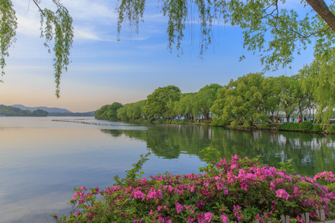 Hangzhou: Dagsutflykt till Västsjön och teplantagenHangzhou: Dagsutflykt till Västersjön och teplantagen