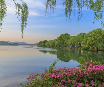 Hangzhou : Excursion d'une journée au lac de l'Ouest et à la plantation de thé