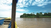 Javari Expedition - Housity