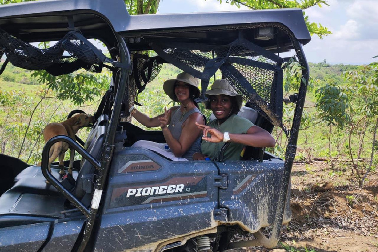 Villanueva: Fundación Loros Sunset Tour with Winetasting