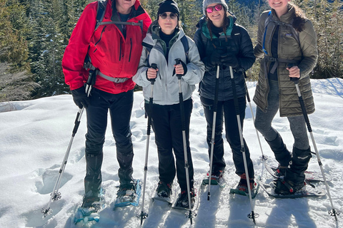 Schneeschuhwandern an der Spitze der Sea to Sky Gondel