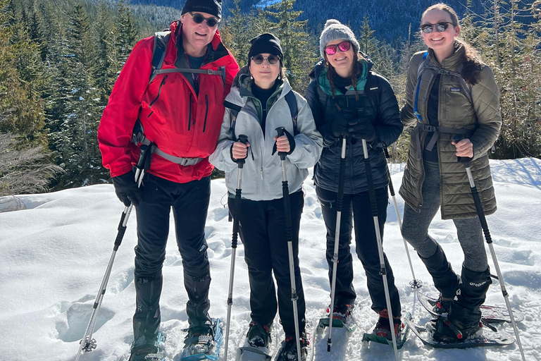 Snowshoeing At The Top Of The Sea To Sky Gondola