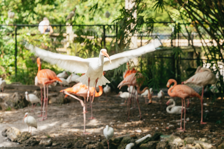 Fort Lauderdale: toegangsticket Flamingo Gardens